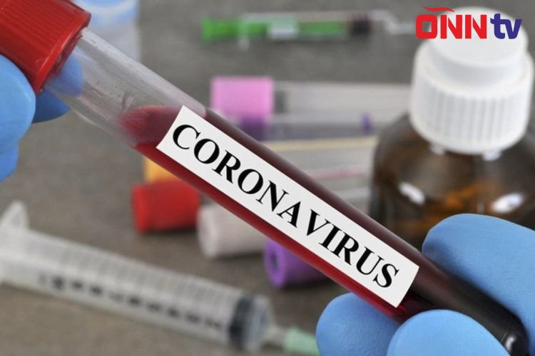 Kürdəmirdə 3 məktəb koronavirusa görə bağlanıb